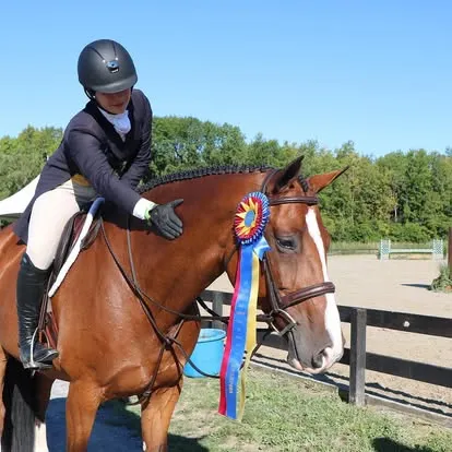 Mounted rider pats bay horse wearing red-white-blue tricolor ribbon