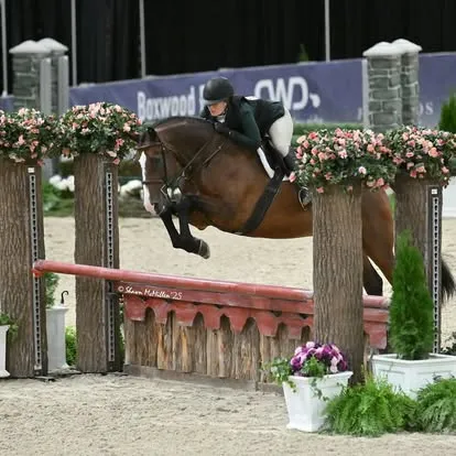 Rider jumping bay horse over flower-decorated fence at indoor show