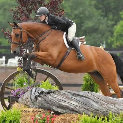 Rider on bay horse leaping a natural log jump in the rain